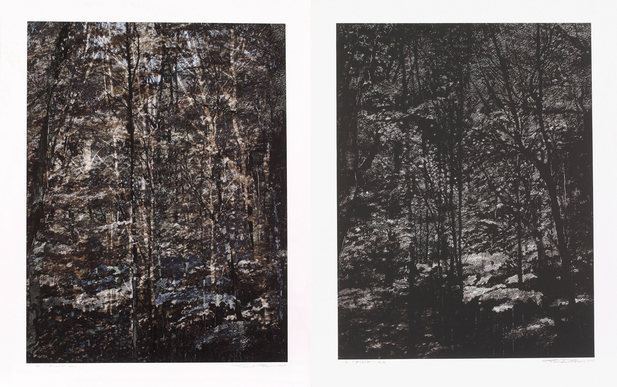 Forêt, 2005. Digital print on canvas, 127 x 92 cm.